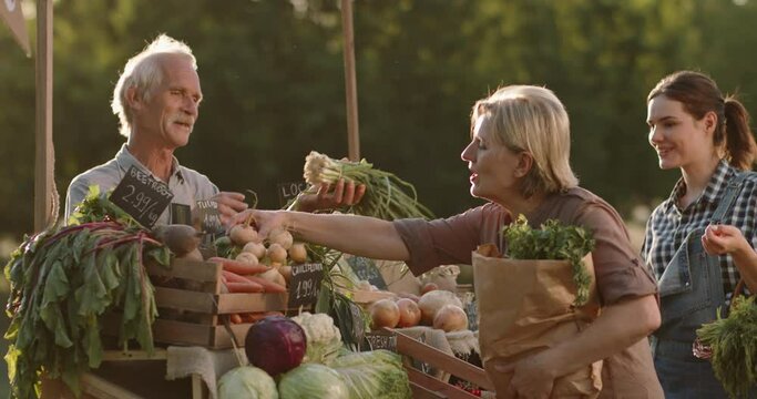 Elderly caucasian man selling local groceries to customers. Senior farmer offering fresh ecologically clean fruits and vegetables right from the fields - agriculture 4k footage