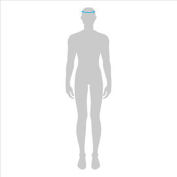 Men to do head measurement fashion Illustration for size chart. 7.5 head size boy for site or online shop. Human body infographic template for clothes. 
