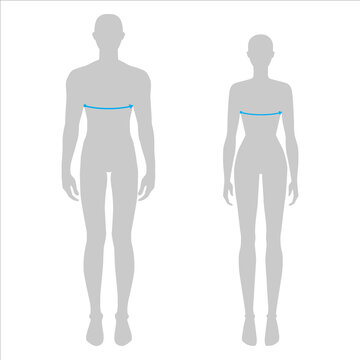 Women and men to do bust measurement fashion Illustration for size chart. 7.5 head size girl and boy for site or online shop. Human body infographic template for clothes. 
