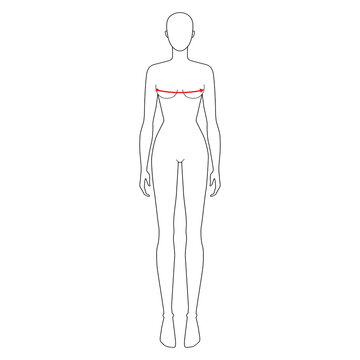 Women to do bust measurement fashion Illustration for size chart. 7.5 head size girl for site or online shop. Human body infographic template for clothes. 