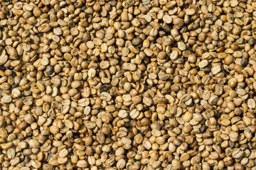 raw coffee beans background