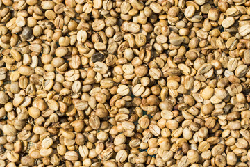 raw coffee beans background