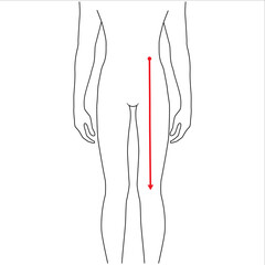 Men to do waist to knee measurement fashion Illustration for size chart. 7.5 head size boy for site or online shop. Human body infographic template for clothes. 