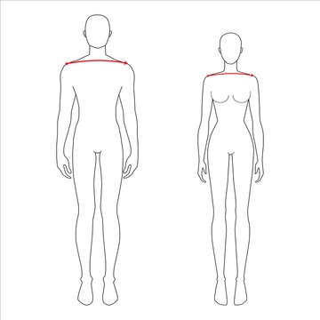 Women and men to do shoulder width measurement fashion Illustration for size chart. 7.5 head size girl and boy for site or online shop. Human body infographic template for clothes. 