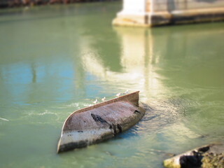 Rom Tiber