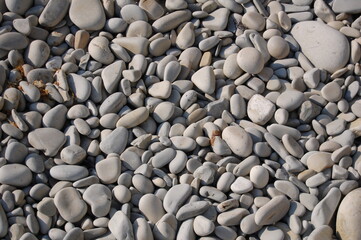 rock on the sea