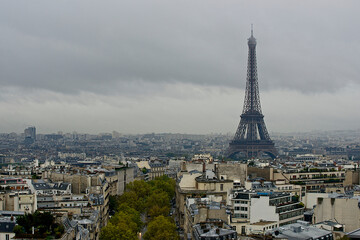 View of the Eiffel tower towering above all other buildings in the city