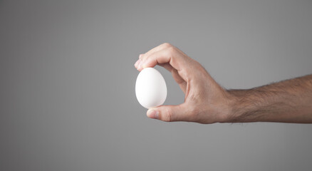 Fototapeta na wymiar Male hand holding white chicken egg.