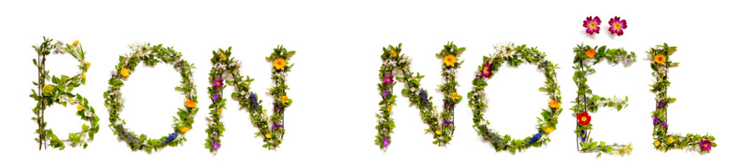 Flower, Branches And Blossom Letter Building French Word Bon Noel Means Merry Christmas. White Isolated Background