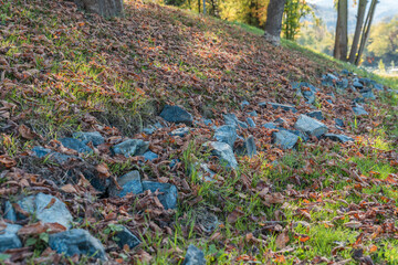 Close up stones and ground covered with leaves in the forest