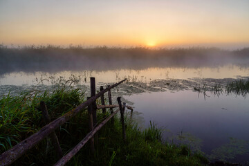 Piękny poranek z mgłami w Dolinie Narwi. Rzeka Narew, Podlasie, Polska  © podlaski49