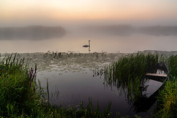 Piękny poranek z mgłami w Dolinie Narwi. Rzeka Narew, Podlasie, Polska  © podlaski49
