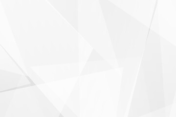 Abstract white and grey on light silver background modern design. Vector illustration EPS 10.