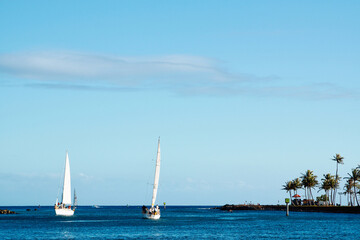ハワイ・ホノルルでのヨットセーリング