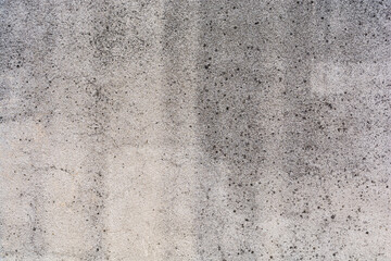 Concrete wall moss texture blank natural surface architecture wall