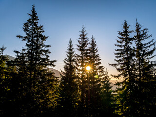 Beautiful sunset landscape with the sun rays through the pine trees.Sunset in the Carpathian Mountains, Romania.