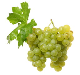White table grapes, grapevine with leaves isolated on white background with clipping path