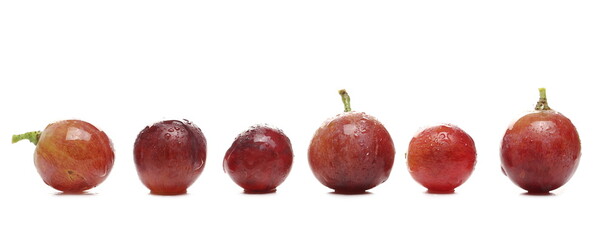 Fresh cardinal grapes row, line isolated on white background