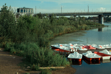There are many grasses and flowers near the river bank, a wooden bridge with white and red...