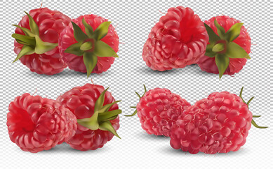 Set of raspberry from different angles on transparent background. Useful ripe fresh raspberry rich in vitamins, natural product. Realistic vector illustration
