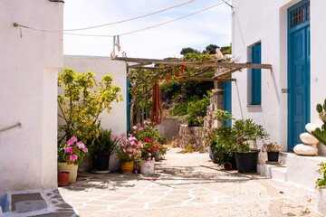 Plaka Town on Milos Island - picturesque narrow stone street with traditional greek whitewashed walls, blue doors, window shuttes and blooming colorful flowers, Greece.