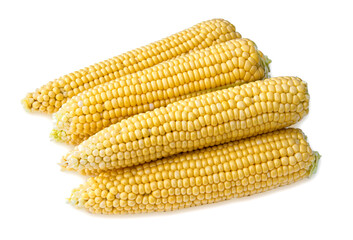 Four ears of corn