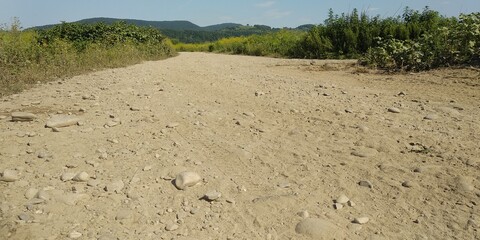 sand dunes on the beach