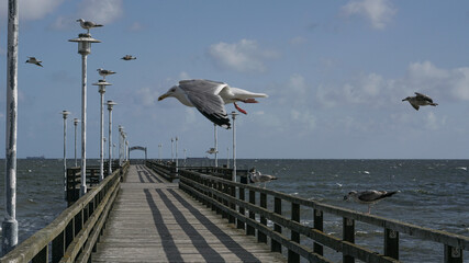 Mecklenburg-Vorpommern, leerer Strand, keine Urlauber, ohne Tourismus, Leerstand, Insel, Usedom, Strandbad, Kaiserbäder, Promenade, Lock-down,  Pleite, Corona , Covid 19 ,  empty, deserted, shut-down
