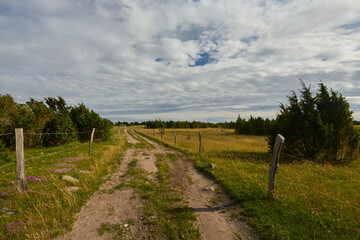 Fototapeta na wymiar beautiful wild landscape with path for walk