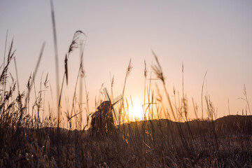 Obraz premium The beautiful landscape of windmill town in the early morning at dawn.