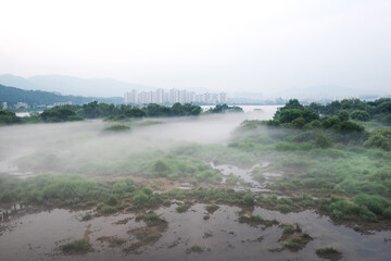 Fantastic landscape of foggy and mist riveside 