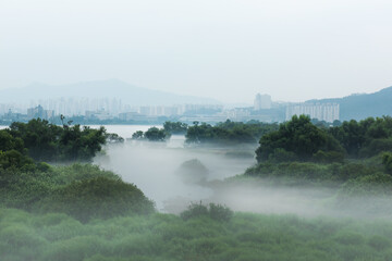 Fantastic landscape of foggy and mist riveside 