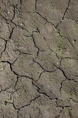 Cracked dry ground. Cracked ground background.