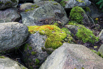Large textured stones covered with moss. Huge stone boulders