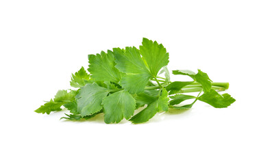 Obraz premium Chinese Celery isolated on white background
