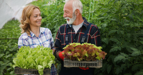 Family working together in greenhouse. Healthy organic food concept
