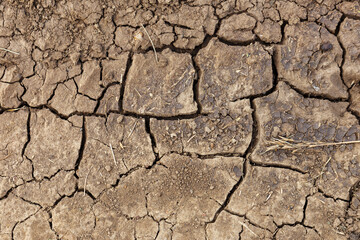 Dry cracked earth. Background and texture of the earth.