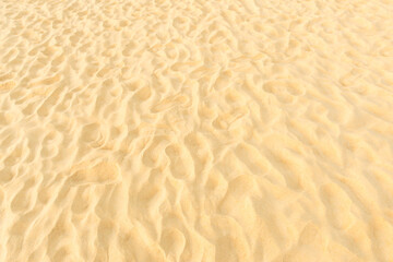closeup  background and texture of sand pattern on a beach in the summer