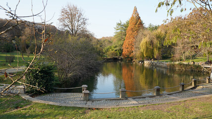 autumn in the park