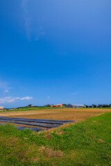 神奈川県横須賀市のソレイユの丘
