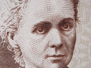 Marie Curie portrait Poland 20 Zlotych banknote close up macro. Famous scientist (chemistry and physics), pioneer in research of radioactivity, Nobel Prize winner.