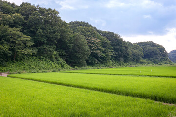 寺家ふるさと村（横浜市青葉区）