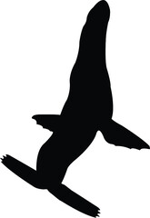vector silhouette of a dolphin