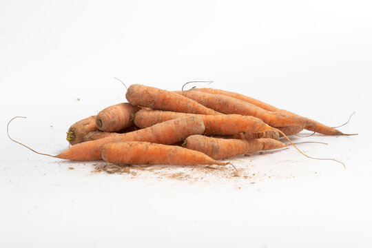 Carottes des sables