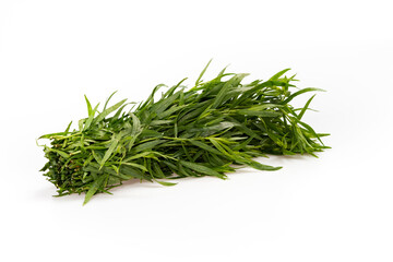 Botte d'estragon frais