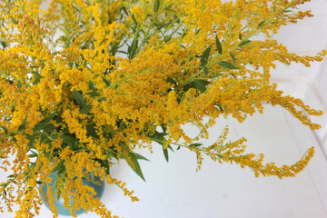 Bouquet of yellow flowers in vase on the white brick wall background. Autumn still life