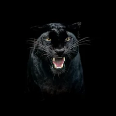 Foto auf Acrylglas Porträt eines schwarzen Panthers mit schwarzem Hintergrund © AB Photography