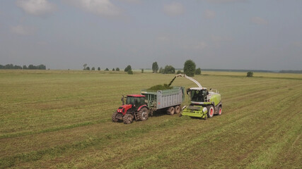 Fototapeta premium Aerial view Combine harvester and trucks working in field, harvesting feed crop. Combine mechanically collects fresh crop and loads it on conveyor belt into trailer. Modern Technologies in Agriculture