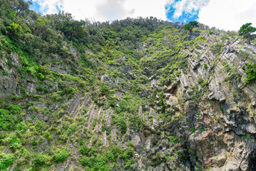 静岡県賀茂郡南伊豆町　中木海岸　中木港