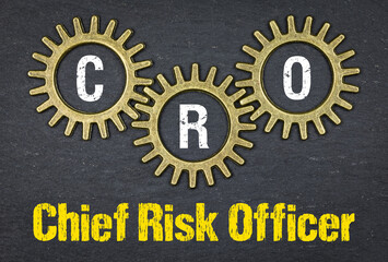 CRO Chief Risk Officer